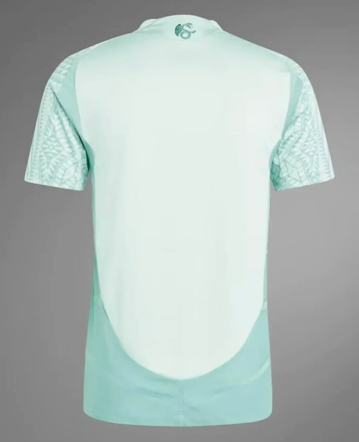 Jersey Selection México II 24/25 - Green