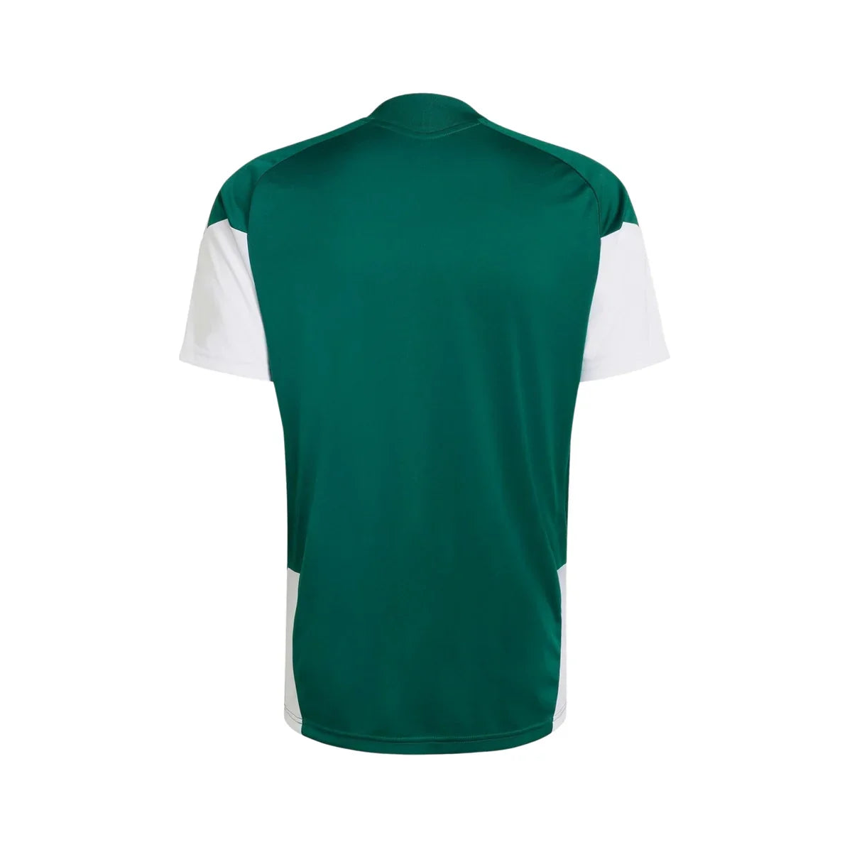 Jersey Selection Italy 26/27 - Training